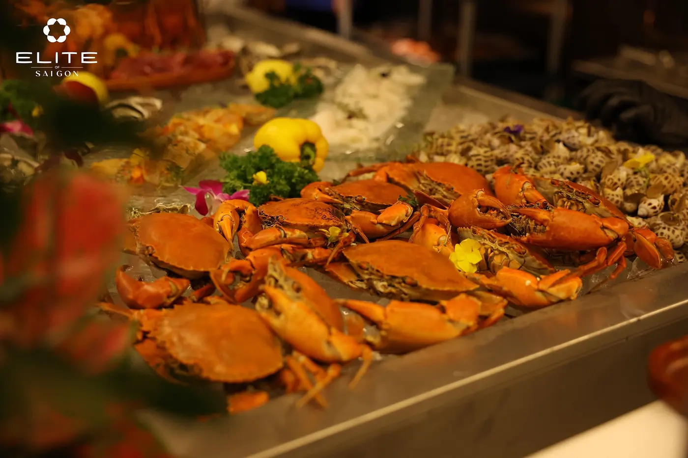 Những ly rượu xếp trên mặt bàn
